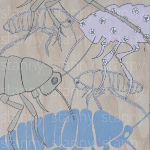 insects 3 a