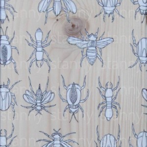 insects 4